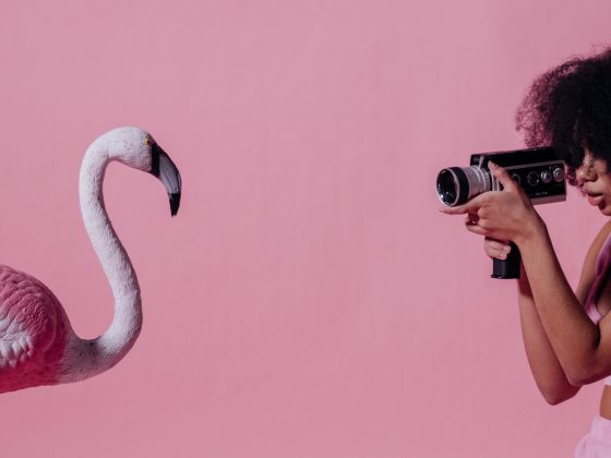 Video Marketing For Startups