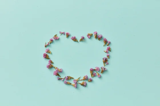 Google Grant for Nonprofits