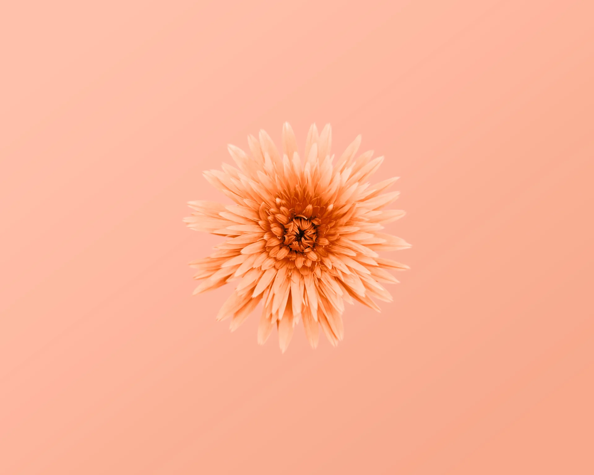 Best Women's Health Apps