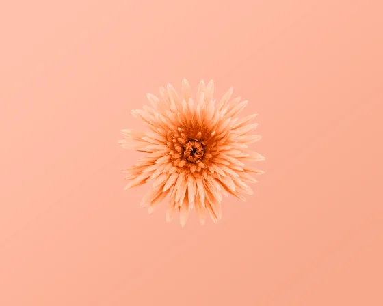 Best Women's Health Apps