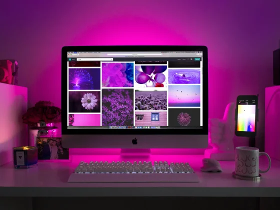The story of Photopea