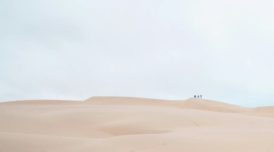 Who are the Serial Entrepreneurs?