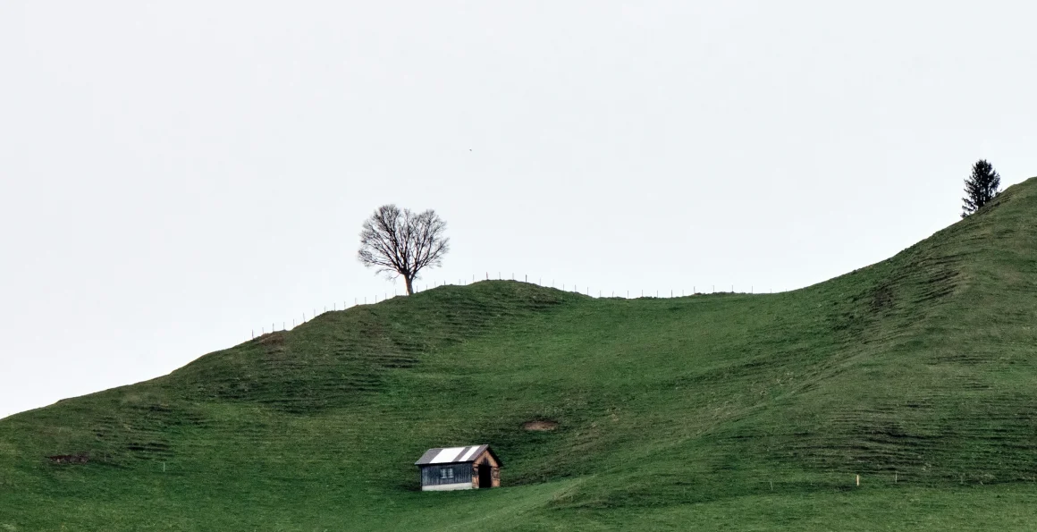 What is Stealth Startup