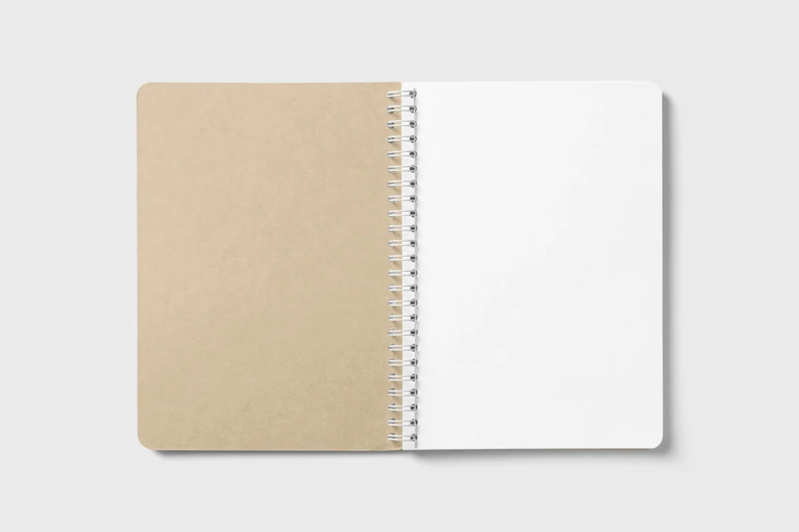 Founder Mode vs Manager Mode