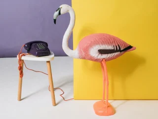 B2B Brand Personality for bootstrapped founders