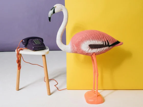 B2B Brand Personality for bootstrapped founders