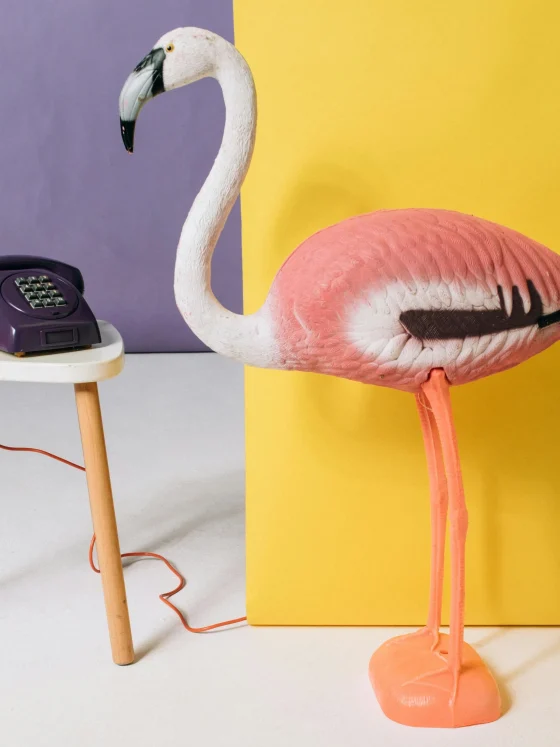 B2B Brand Personality for bootstrapped founders