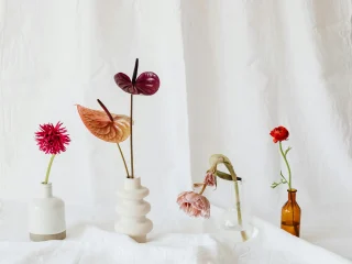 Overcoming Startup Burnout