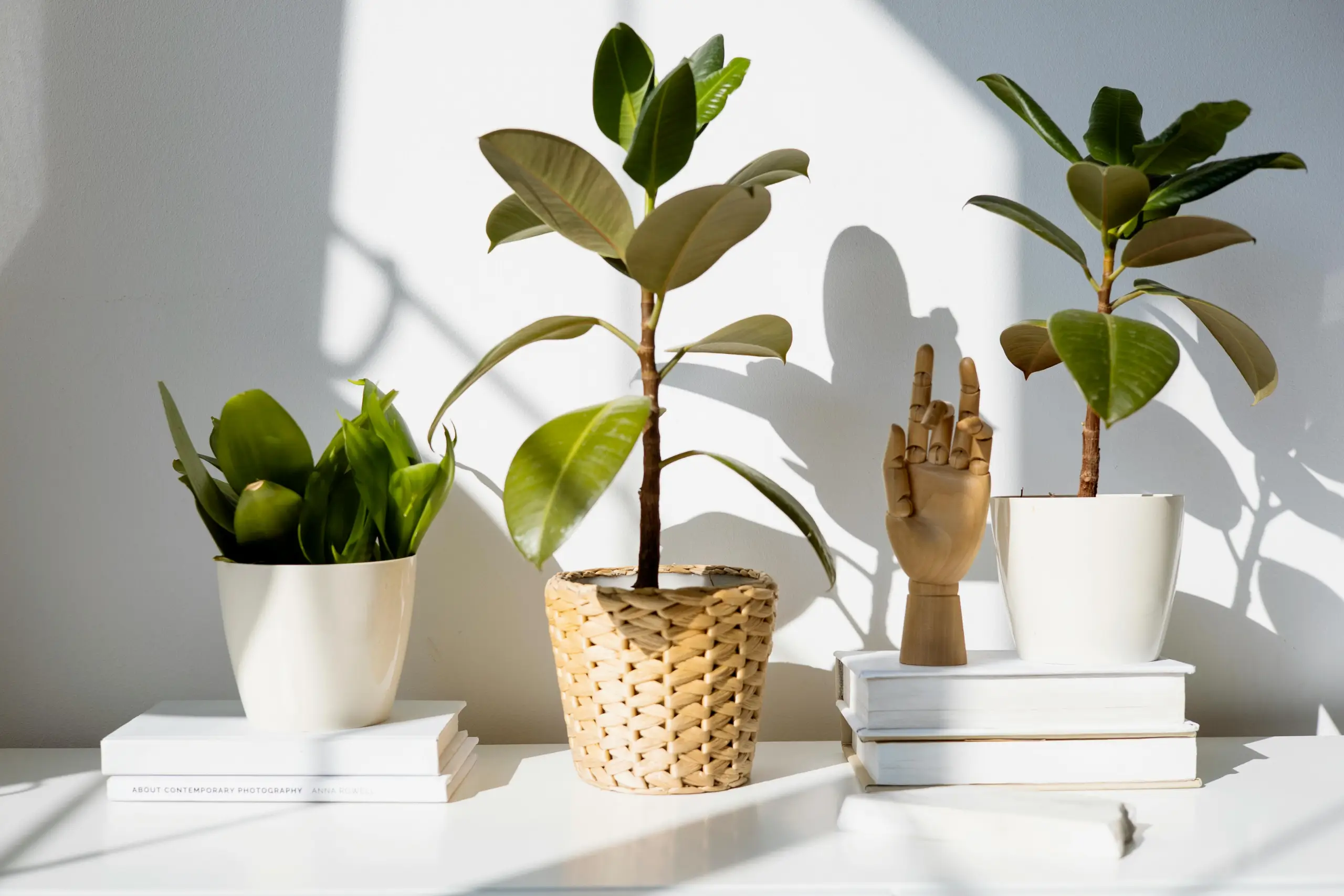 A bright windowsill scene with three potted plants. Left plant in a white pot sits on white books, middle plant in a woven basket pot, right plant in a white pot atop stacked books. Strong shadows from sunlight create geometric shapes on the wall and table.