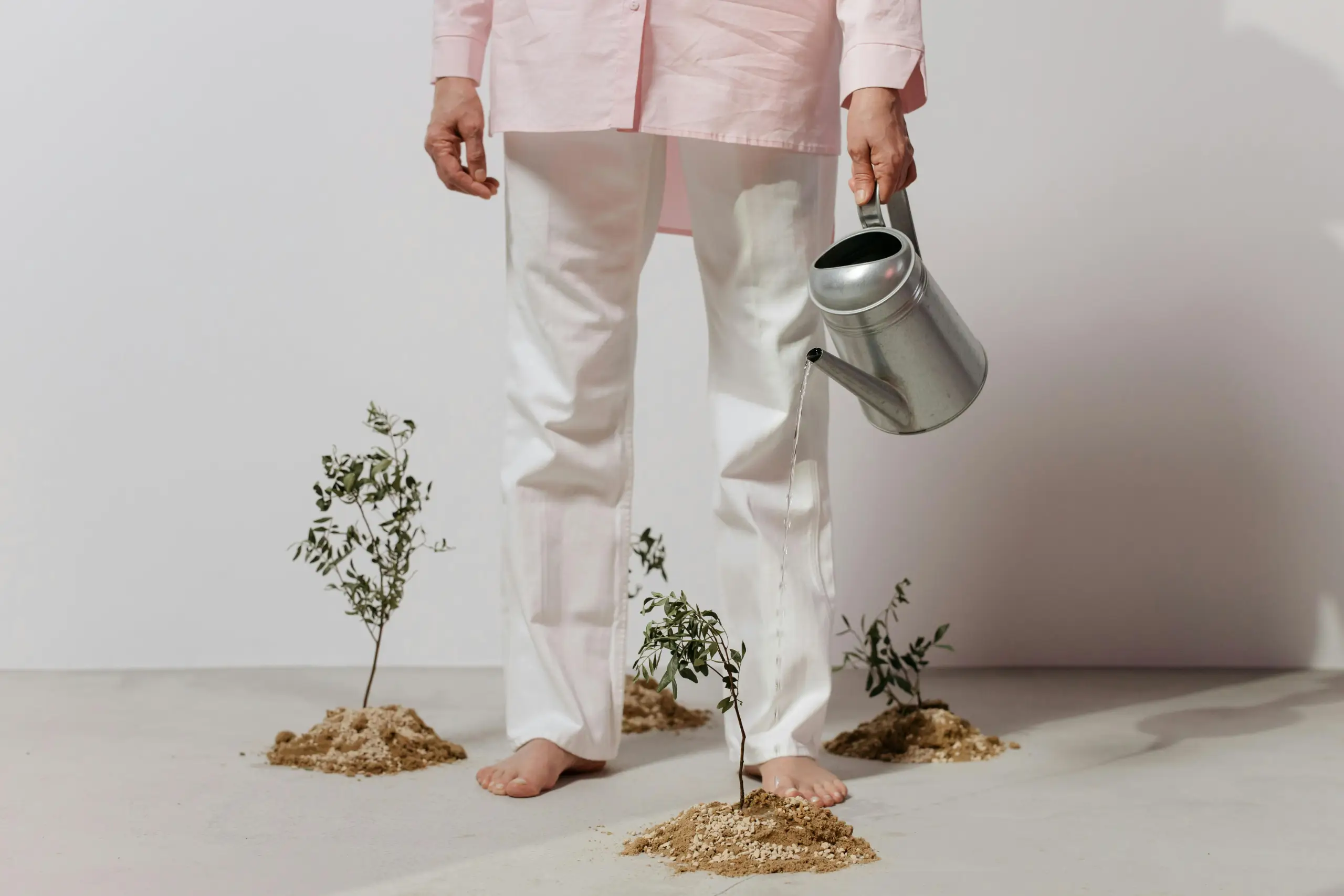 A person in light pink shirt and white pants barefoot, watering young plants growing from small dirt mounds on a plain backdrop.