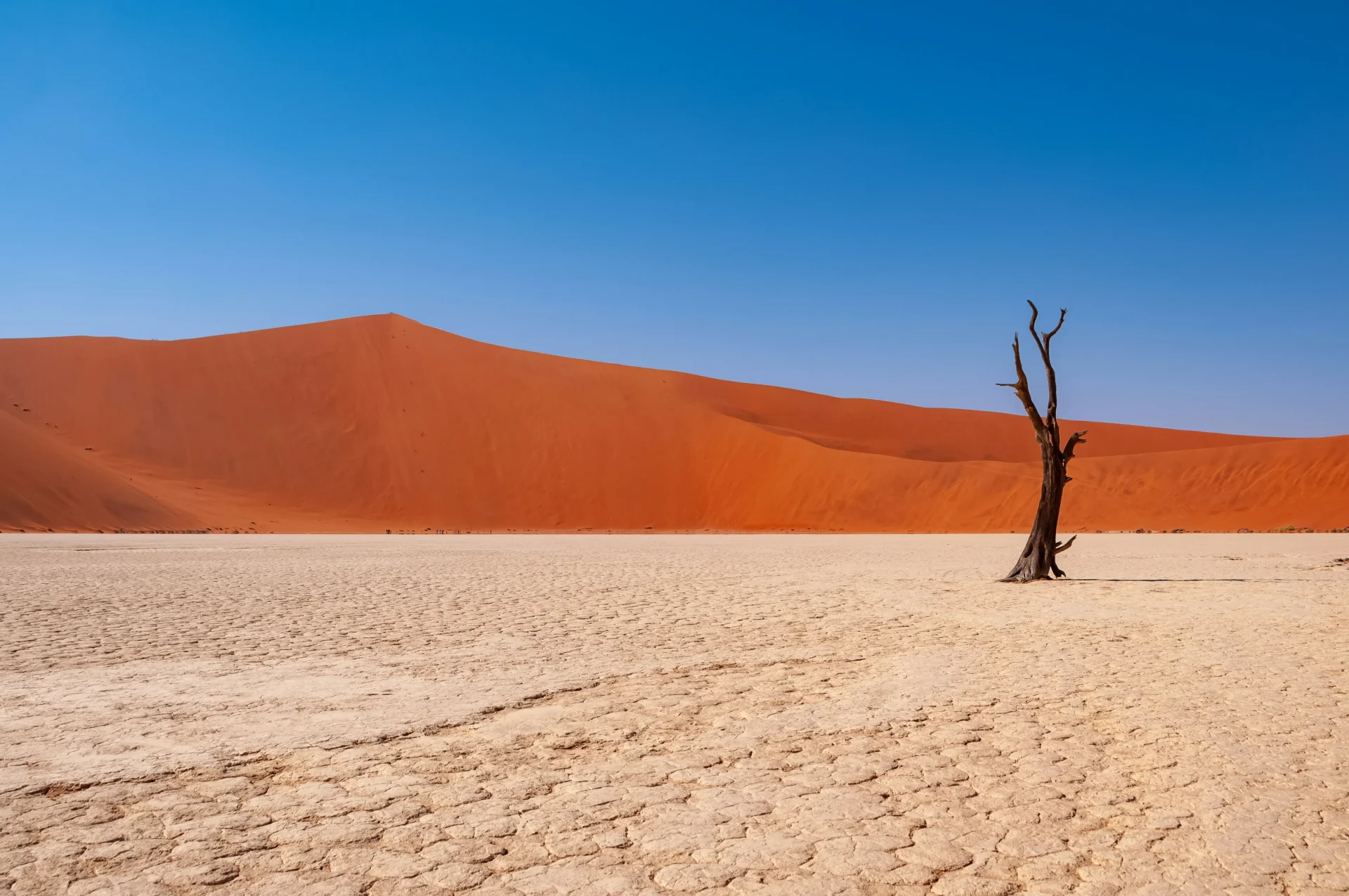 Replit Startup Story